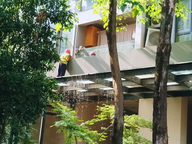 國際花園，洗雨眉啦！