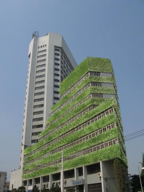 長江水利委員會(huì)-水箱清洗